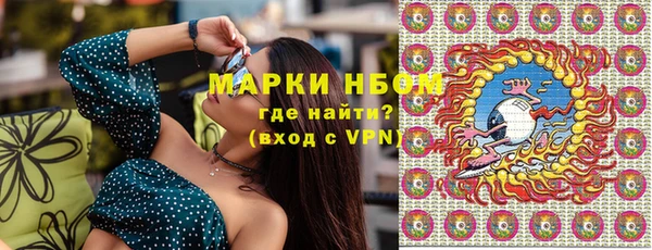 прущий лед Богданович