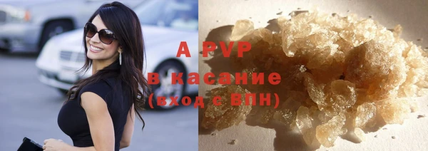 прущий лед Богданович
