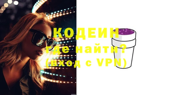 прущий лед Богданович