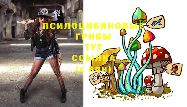прущий лед Богданович
