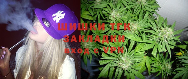прущий лед Богданович