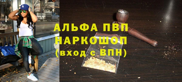 прущий лед Богданович